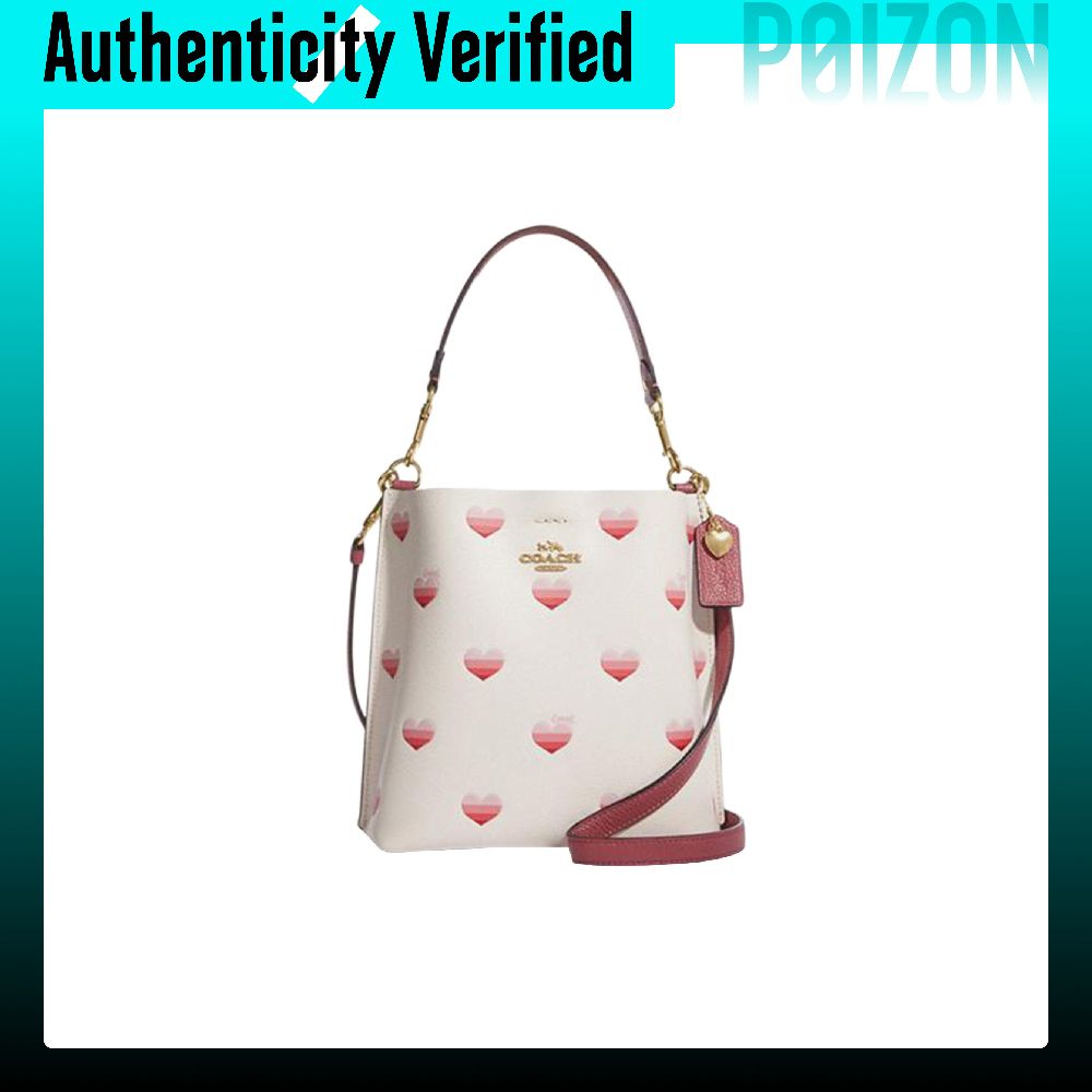 COACH Mollie Split Cow Leather - Chalk Bag 评论和价格