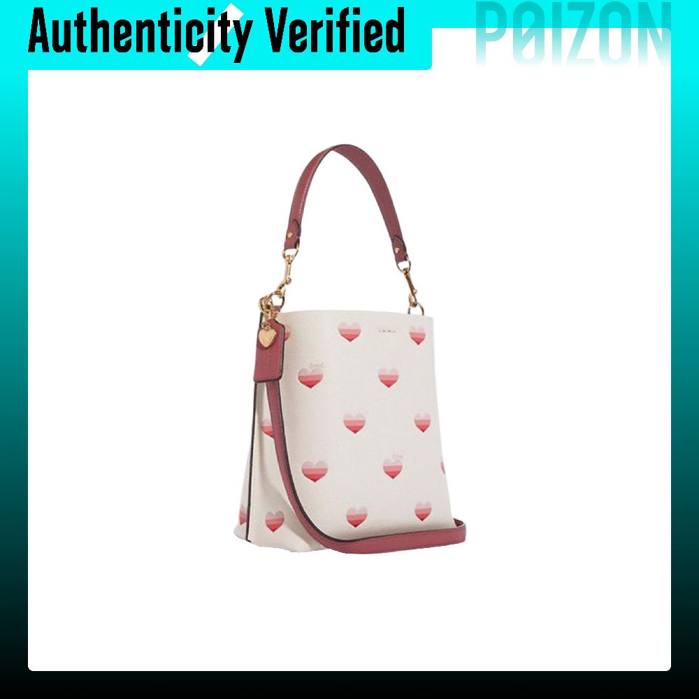 COACH Mollie Split Cow Leather - Chalk Bag 评论和价格